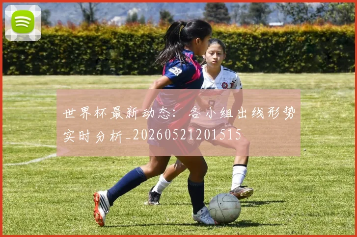 世界杯最新动态：各小组出线形势实时分析_20260521201515
